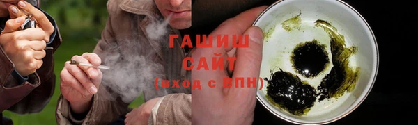 индика Богородск