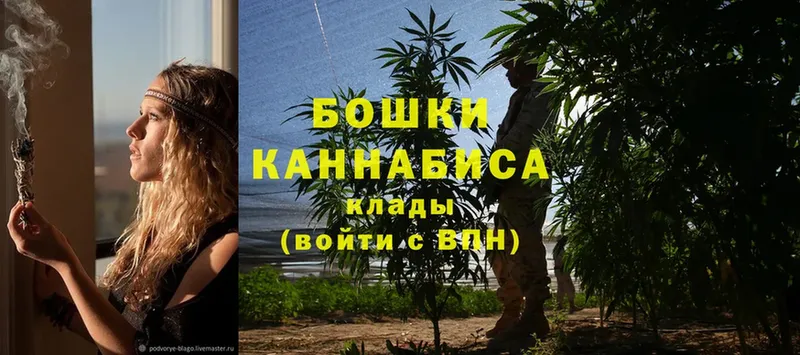 Каннабис White Widow  Зея 